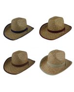 Sombrero de paja WHD-24